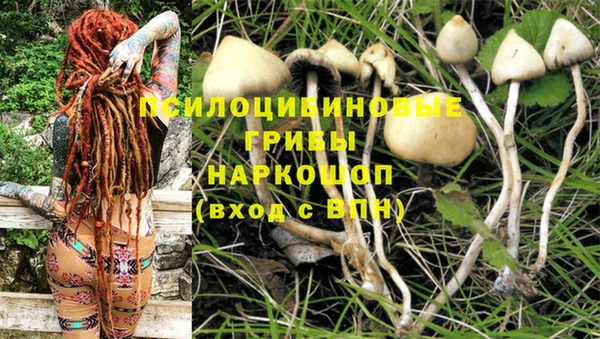 ECSTASY Алексеевка