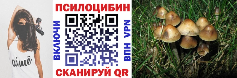 Псилоцибиновые грибы GOLDEN TEACHER  Нижнекамск 
