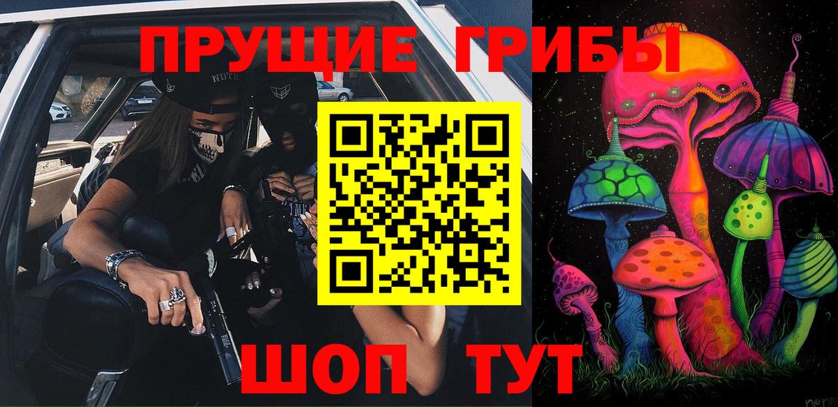 Нижнекамск  Галлюциногенные грибы Psilocybe  Вход с VPN 