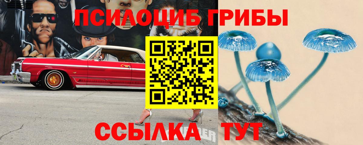 Псилоцибиновые грибы Psilocybine cubensis Нижнекамск