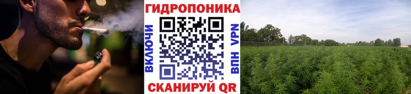 Каннабис гибрид  наркотики  Нижнекамск 